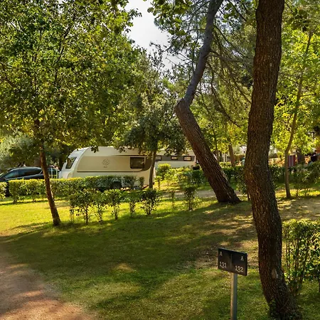 База отдыха Valamar Marina 4*